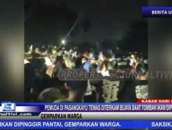 Berita Video : Pemuda di Pasangkayu Tewas Diterkam Buaya Saat Tombak Ikan Dipinggir Pantai, Gemparkan Warga