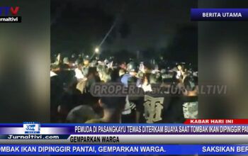 Berita Video : Pemuda di Pasangkayu Tewas Diterkam Buaya Saat Tombak Ikan Dipinggir Pantai, Gemparkan Warga