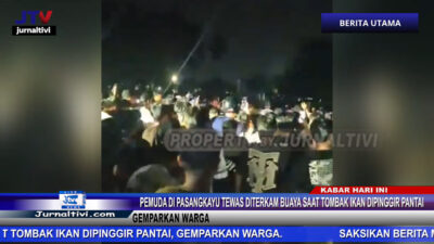 Berita Video : Pemuda di Pasangkayu Tewas Diterkam Buaya Saat Tombak Ikan Dipinggir Pantai, Gemparkan Warga