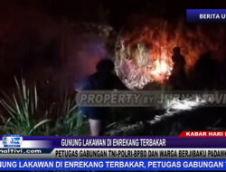 Berita Video : Gunung Lakawan Di Enrekang Terbakar, Petugas Gabungan TNI-Polri, BPBD, Warga Berjibaku Padamkan Api