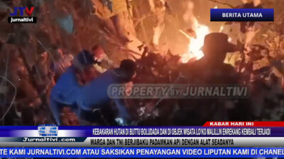 Berita Video : Kebakaran Hutan di Buttu Boludada dan di Objek Wisata Lo’ko Malillin Enrekang Kembali Terjadi, Warga dan TNI-Polri Berjibaku Padamkan Api Dengan Alat Seadanya
