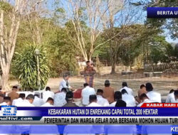 Berita Video : Kebakaran Hutan Di Enrekang Capai Total 200 Hektar, Pemerintah dan Warga Gelar Doa Bersama Mohon Hujan Turun