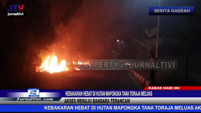 Berita Video : Kebakaran Hebat di Hutan Mapongka Tana Toraja Meluas, Akses Menuju Bandara Terancam