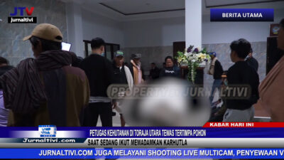 Berita Video : Petugas Kehutanan Di Toraja Utara Tewas Tertimpa Pohon Saat Sedang Ikut Memadamkan Karhutla