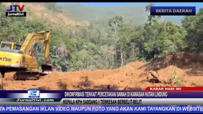 Berita Video : Dikonfirmasi Terkait Percetakan Sawah di Kawasan Hutan Lindung, Kepala KPH Saddang 1 Terkesan Berbelit-belit