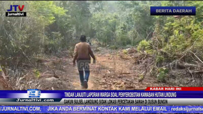 Berita Video : Tindak Lanjuti Laporan Soal Penyerobotan Kawasan Hutan Lindung, Gakkum Sulsel Langsung Sidak Lokasi Percetakan Sawah di Dusun Bungin