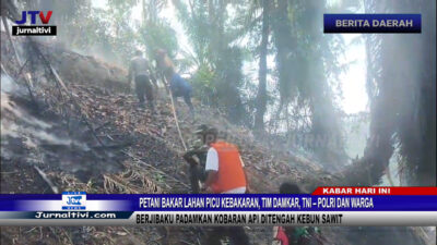 Berita Video : Petani Bakar Lahan Picu Kebakaran, Tim Damkar, TNI – Polri dan Warga Berjibaku Padamkan Kobaran Api ditengah Kebun Sawit